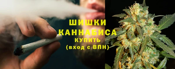 бошки Краснослободск