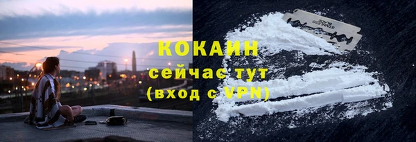 бошки Краснослободск